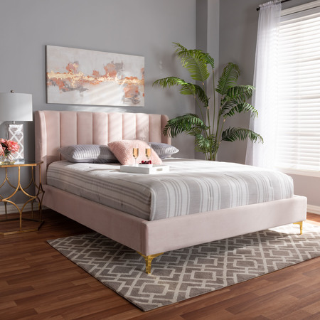Baxton Studio Saverio Pink Velvet Queen Size Platform Bed with Gold-Tone Legs 156-9099